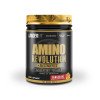 Thumbnail Amino Revolution LanderFit 480g0